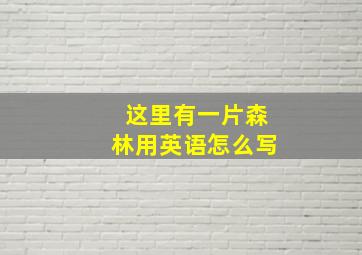 这里有一片森林用英语怎么写