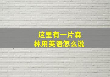 这里有一片森林用英语怎么说