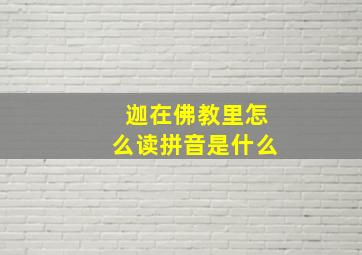 迦在佛教里怎么读拼音是什么