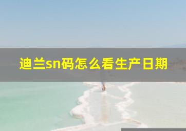 迪兰sn码怎么看生产日期