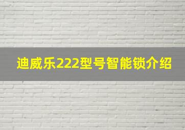 迪威乐222型号智能锁介绍