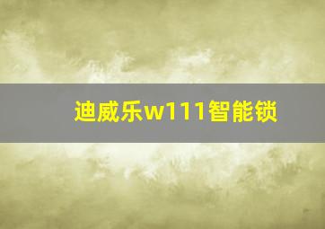 迪威乐w111智能锁