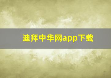 迪拜中华网app下载