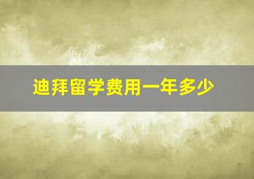 迪拜留学费用一年多少