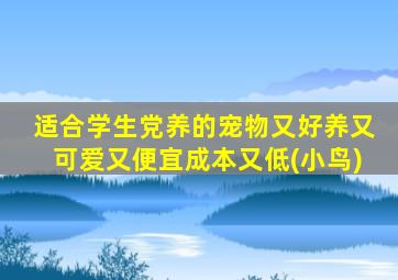 适合学生党养的宠物又好养又可爱又便宜成本又低(小鸟)