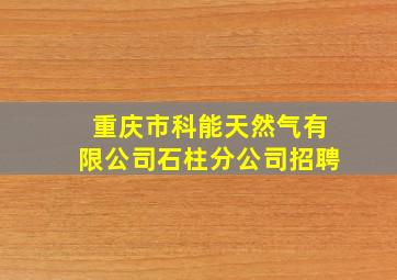 重庆市科能天然气有限公司石柱分公司招聘