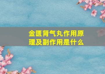 金匮肾气丸作用原理及副作用是什么