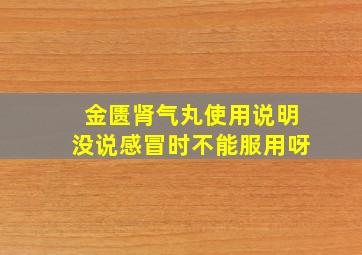 金匮肾气丸使用说明没说感冒时不能服用呀