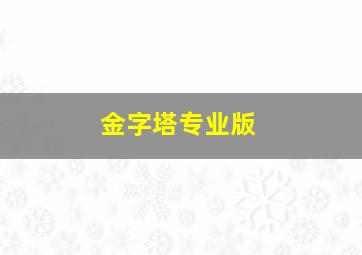 金字塔专业版