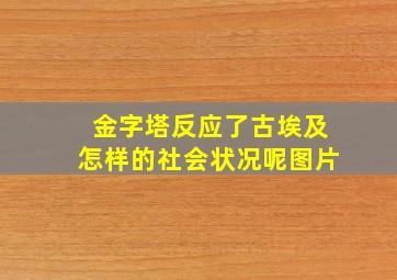 金字塔反应了古埃及怎样的社会状况呢图片