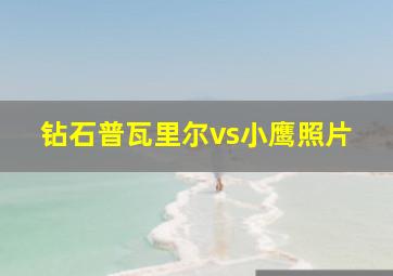 钻石普瓦里尔vs小鹰照片