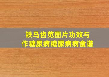 铁马齿苋图片功效与作糖尿病糖尿病病食谱