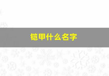 铠甲什么名字