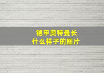 铠甲奥特曼长什么样子的图片