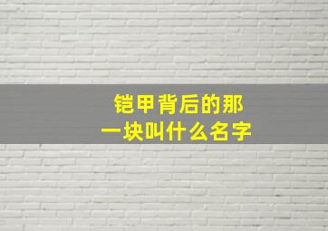 铠甲背后的那一块叫什么名字