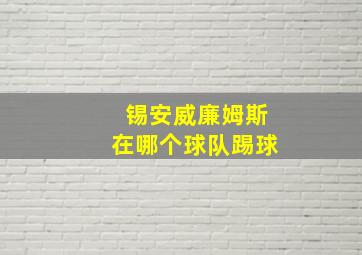 锡安威廉姆斯在哪个球队踢球