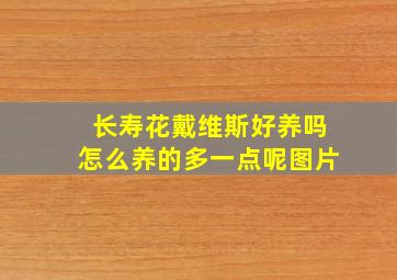 长寿花戴维斯好养吗怎么养的多一点呢图片