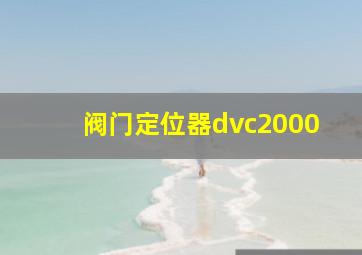 阀门定位器dvc2000