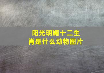 阳光明媚十二生肖是什么动物图片