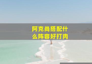 阿克尚搭配什么阵容好打肉