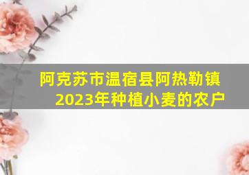 阿克苏市温宿县阿热勒镇2023年种植小麦的农户