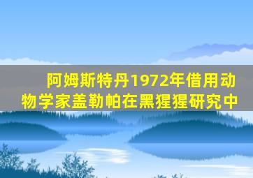 阿姆斯特丹1972年借用动物学家盖勒帕在黑猩猩研究中