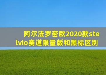 阿尔法罗密欧2020款stelvio赛道限量版和黑标区别