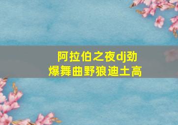 阿拉伯之夜dj劲爆舞曲野狼迪土高