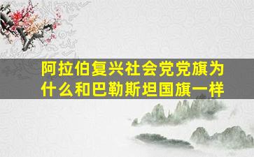 阿拉伯复兴社会党党旗为什么和巴勒斯坦国旗一样