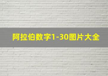 阿拉伯数字1-30图片大全