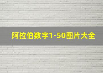 阿拉伯数字1-50图片大全