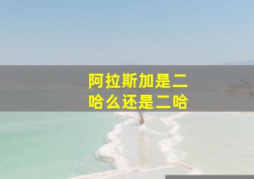 阿拉斯加是二哈么还是二哈