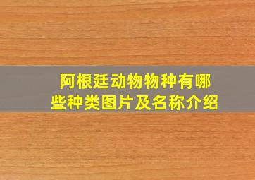 阿根廷动物物种有哪些种类图片及名称介绍