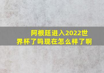 阿根廷进入2022世界杯了吗现在怎么样了啊