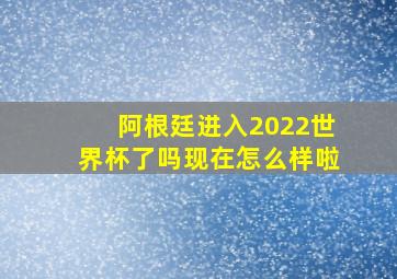 阿根廷进入2022世界杯了吗现在怎么样啦