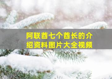 阿联酋七个酋长的介绍资料图片大全视频