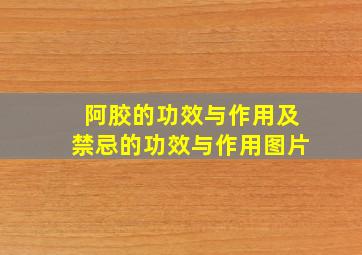 阿胶的功效与作用及禁忌的功效与作用图片