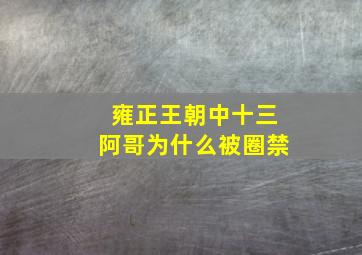 雍正王朝中十三阿哥为什么被圈禁