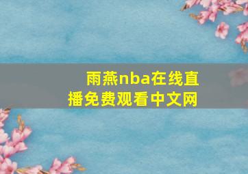 雨燕nba在线直播免费观看中文网