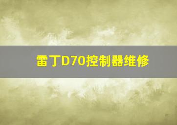 雷丁D70控制器维修