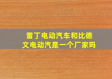 雷丁电动汽车和比德文电动汽是一个厂家吗