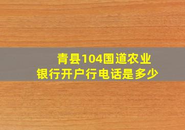 青县104国道农业银行开户行电话是多少