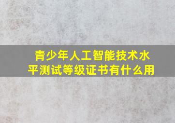 青少年人工智能技术水平测试等级证书有什么用