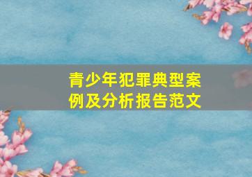 青少年犯罪典型案例及分析报告范文