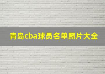 青岛cba球员名单照片大全