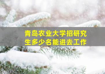 青岛农业大学招研究生多少名能进去工作