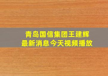 青岛国信集团王建辉最新消息今天视频播放