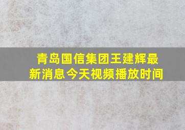 青岛国信集团王建辉最新消息今天视频播放时间