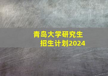 青岛大学研究生招生计划2024