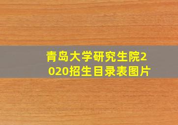 青岛大学研究生院2020招生目录表图片